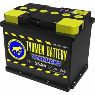 Автомобильный аккумулятор Tyumen Battery Standard